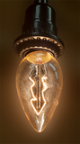 Edison Bulbs - Simple Pleasures ~ Bountiful Treasures