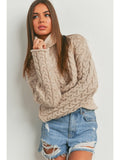 Thick Braid with Turtle Neck Long-Sleeve Sweater