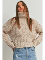 Thick Braid with Turtle Neck Long-Sleeve Sweater