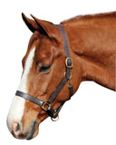 JPC Equestrian - Henri de Rivel Advantage Leather Halter