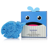 Sea Animals -  for Kids & Baby
