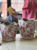 Rose Heirloom Collection
