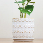 Ceramic Flower Pot