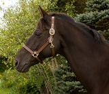 JPC Equestrian - Henri de Rivel Advantage Leather Halter