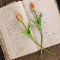 Small Coral Tulip Stem