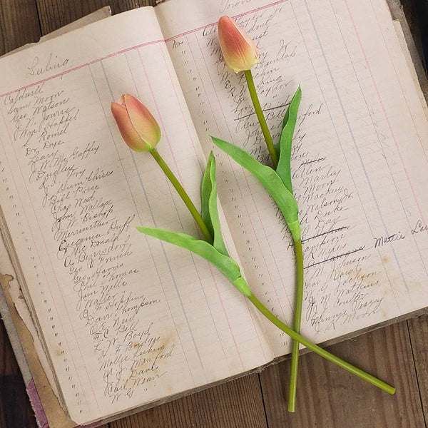 Small Coral Tulip Stem