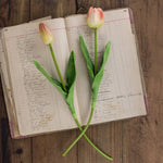Large Coral Tulip Stem