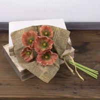 Coral Poppy Bundle in Paper