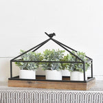 Displayer with Bird Shelf
