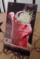 Fragrant Art Warmer Inserts - Simple Pleasures ~ Bountiful Treasures