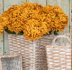 Mustard Mum Stem