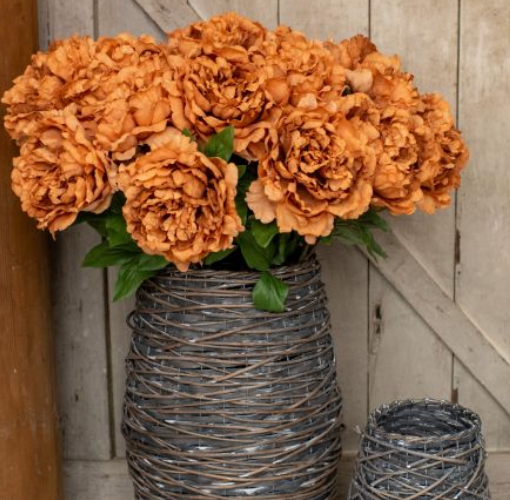 Dusty Orange Peony Stem