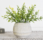 White stripe planter