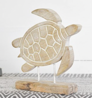 White Washed Wood Turtle