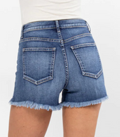 Hi Rise Fray Hem Shorts