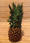 Dried Small Pineapple - Simple Pleasures ~ Bountiful Treasures