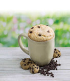 Chocolate Chip Cookie Dough Cake Single - Simple Pleasures ~ Bountiful Treasures