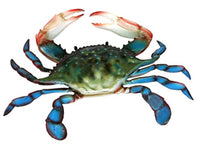 Maryland Blue Crab - Simple Pleasures ~ Bountiful Treasures