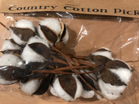 Country Cotton Picks - Simple Pleasures ~ Bountiful Treasures