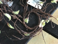 Buds of Spring Candle Ring - Simple Pleasures ~ Bountiful Treasures