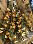 Bittersweet and Pumpkin Picks - Simple Pleasures ~ Bountiful Treasures